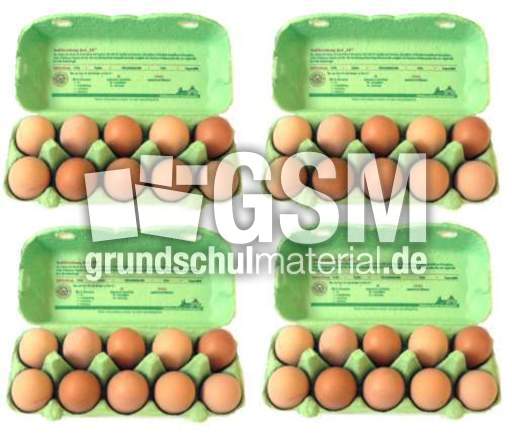 Eier-4x10.jpg